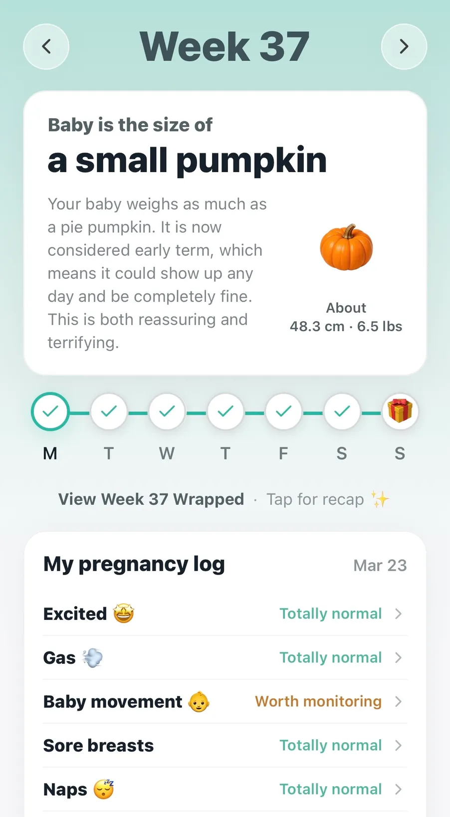 Pregnancy Safe app preview